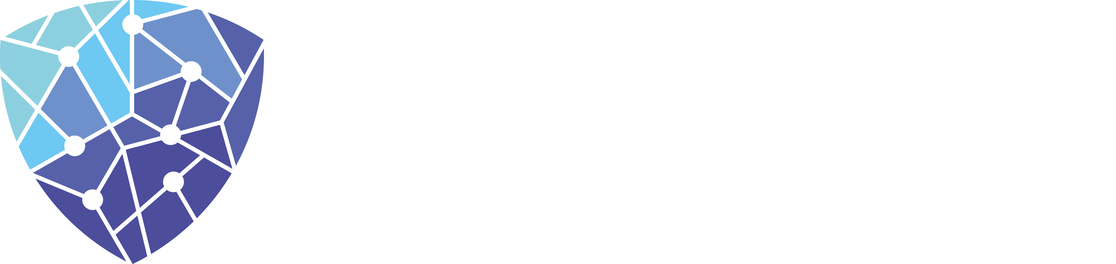 Cyber Sec Logo